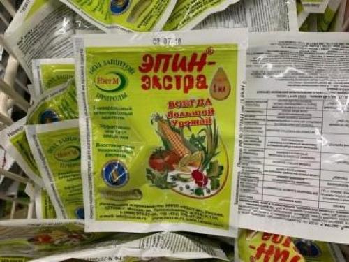 Как вырастить крупный чеснок на грядке. Отбор посадочного материала 02