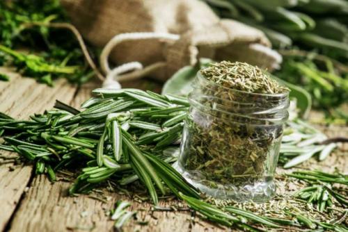 Как сушить розмарин. Как хранить розмарин дома