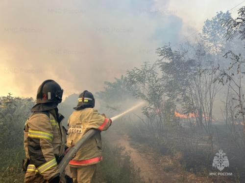 Штраф за костер в лесу и на участке: что грозит нарушителям 02 Штраф за костер в лесу и на участке: что грозит нарушителям 02