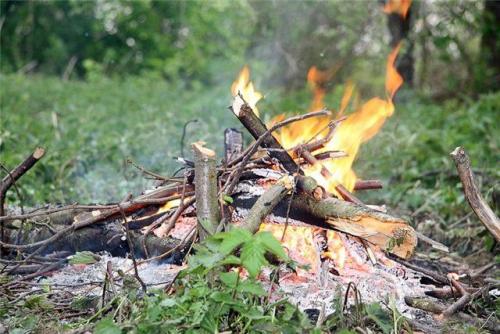 Штраф за костер в лесу и на участке: что грозит нарушителям 01 Штраф за костер в лесу и на участке: что грозит нарушителям 01