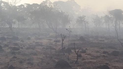 Почему опытные дачники избегают костров на огороде 02 Почему опытные дачники избегают костров на огороде 02