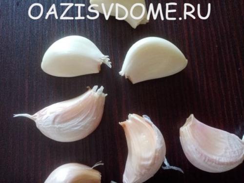 В чем замочить чеснок перед посадкой. Проращивание чеснока перед его весенней посадкой: как прорастить в холодильнике пошагово с фото