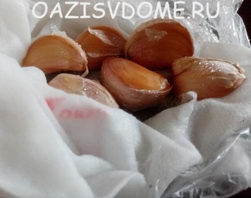 В чем замочить чеснок перед посадкой. Проращивание чеснока перед его весенней посадкой: как прорастить в холодильнике пошагово с фото