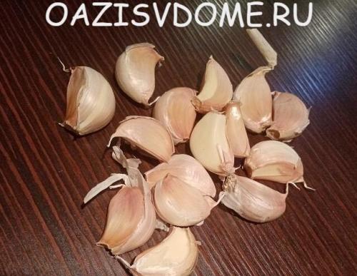 В чем замочить чеснок перед посадкой. Проращивание чеснока перед его весенней посадкой: как прорастить в холодильнике пошагово с фото