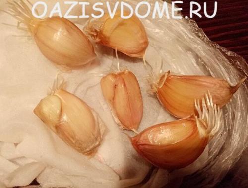 В чем замочить чеснок перед посадкой. Проращивание чеснока перед его весенней посадкой: как прорастить в холодильнике пошагово с фото