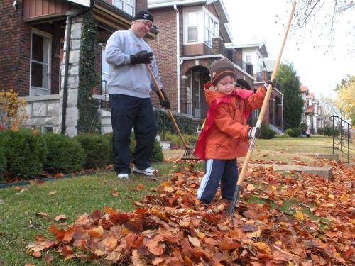 Дачники получили право жечь листву на своих участках 02 Дачники получили право жечь листву на своих участках 02