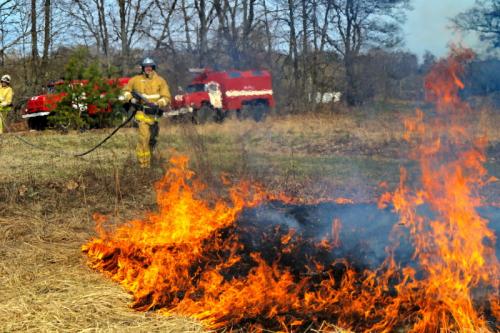 Как сжечь мусор на участке без штрафа: полезные советы и рекомендации 01 Как сжечь мусор на участке без штрафа: полезные советы и рекомендации 01