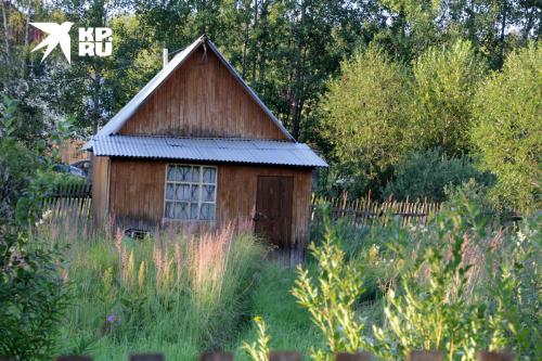 Какие меры предприняты для информирования дачников о новом запрете. КОГДА НАЧНУТ ОТБИРАТЬ ЗАБРОШЕННЫЕ УЧАСТКИ