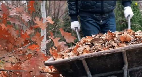 Дачники получили право жечь листву на своих участках 01 Дачники получили право жечь листву на своих участках 01