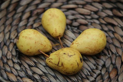 Рецепт недозрелые груши. Добавление статьи в новую подборку 19 Рецепт недозрелые груши. Добавление статьи в новую подборку 19