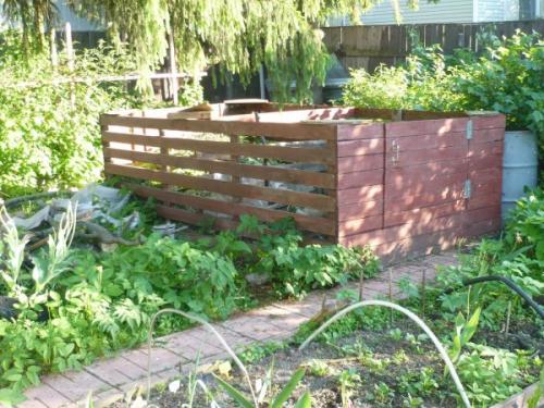 Что приготовить из груши падалицы. Что сделать вкусного из падалицы яблок и груш