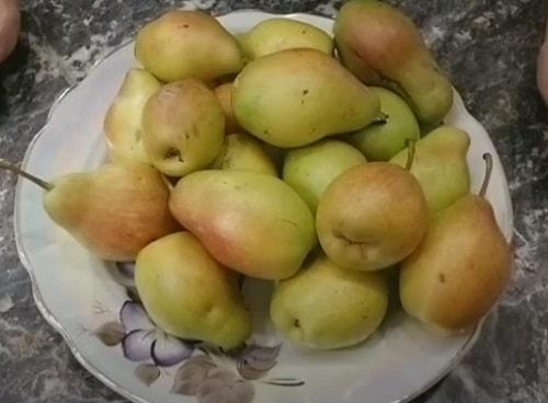 Джем из зеленых груш. Джем из груш — простые рецепты на зиму с яблоками, лимоном, вермутом