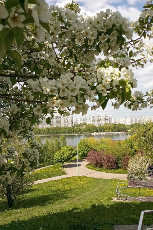 Какие парки и зоны отдыха будут наиболее популярны для шашлыков. Пикник в Москве: 9 парков для отдыха с грилем и шашлыком