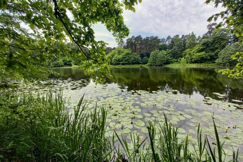 Какие парки и зоны отдыха будут наиболее популярны для шашлыков. Пикник в Москве: 9 парков для отдыха с грилем и шашлыком