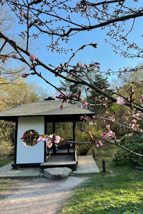 Какие парки и зоны отдыха будут наиболее популярны для шашлыков. Пикник в Москве: 9 парков для отдыха с грилем и шашлыком