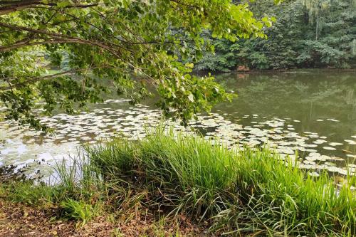 Какие парки и зоны отдыха будут наиболее популярны для шашлыков. Пикник в Москве: 9 парков для отдыха с грилем и шашлыком