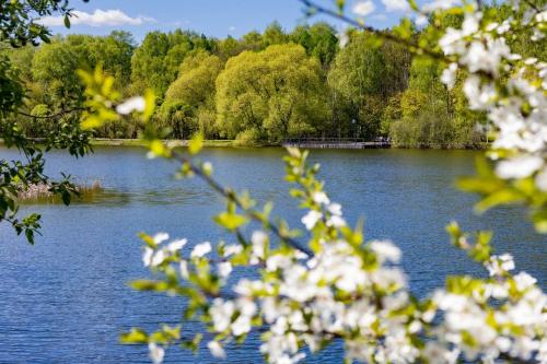 Какие парки и зоны отдыха будут наиболее популярны для шашлыков. Пикник в Москве: 9 парков для отдыха с грилем и шашлыком