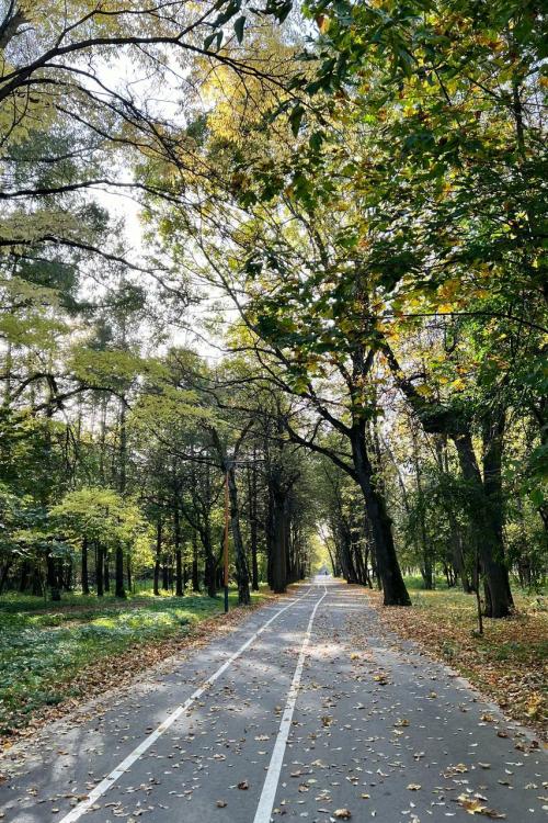 Какие парки и зоны отдыха будут наиболее популярны для шашлыков. Пикник в Москве: 9 парков для отдыха с грилем и шашлыком