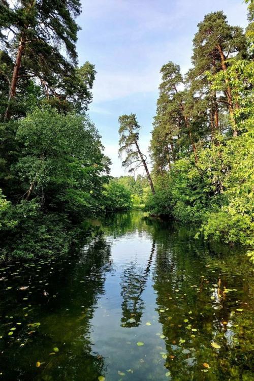 Какие парки и зоны отдыха будут наиболее популярны для шашлыков. Пикник в Москве: 9 парков для отдыха с грилем и шашлыком
