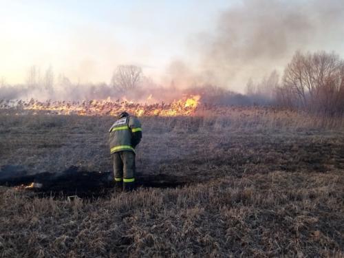 Как сжигание травы влияет на качество воздуха и здоровье. Выжигание сухой растительности - вред природе и человеку