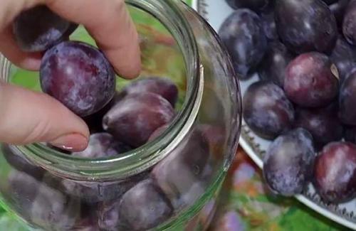 Сливы, как оливки. 5 лучших рецептов маринованной закусочной сливы, как маслины на зиму